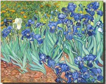 tableau iris van gogh