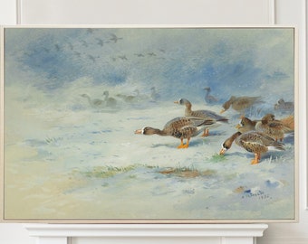 Barnacle Geese, Archibald Thorburn, Impresión de aves