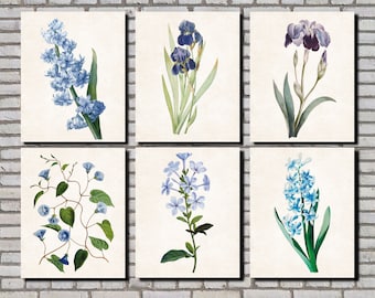 Blue Flower Prints, Botanical Art Set of 6 Posters