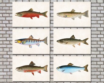 Trout Prints Set 6, Fly Fishing Posters