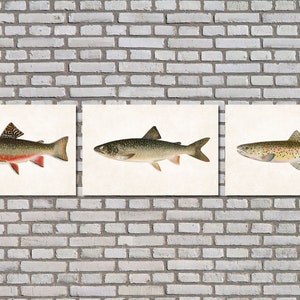 Vintage Trout Prints Set 3 Fly Fishing Posters