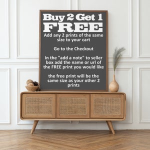 May include: A framed print with the text "Buy 2 Get 1 FREE" on a dark gray background. The print is displayed on a light wood cabinet with woven door panels. A decorative vase and dried plant are on the cabinet.