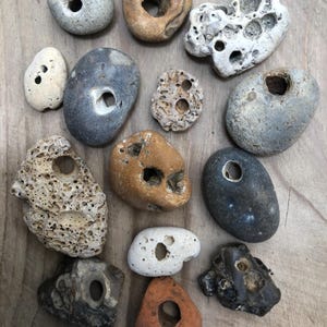 May include: A selection of naturally formed stones with holes of varying sizes. The stones are in shades of grey, brown, white, and orange. Some have smooth surfaces, while others are textured and porous. The stones are arranged on a wooden surface.