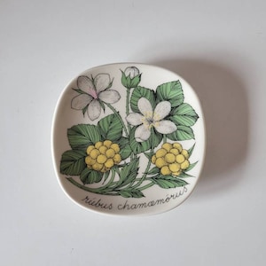 Arabia Finland rubus chamaemorus plate. Esteri Tomula botanica series.