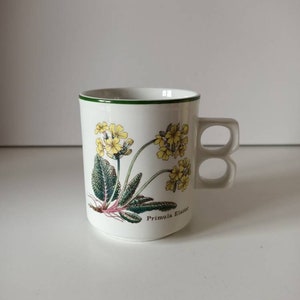 Florabunda Enoch Wedgwood mug Primula Elatior