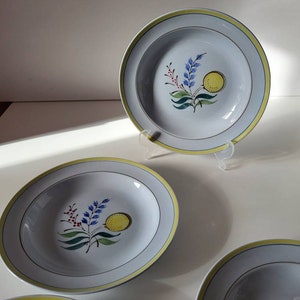 Plato de sopa de anémona de Arabia Finlandia.