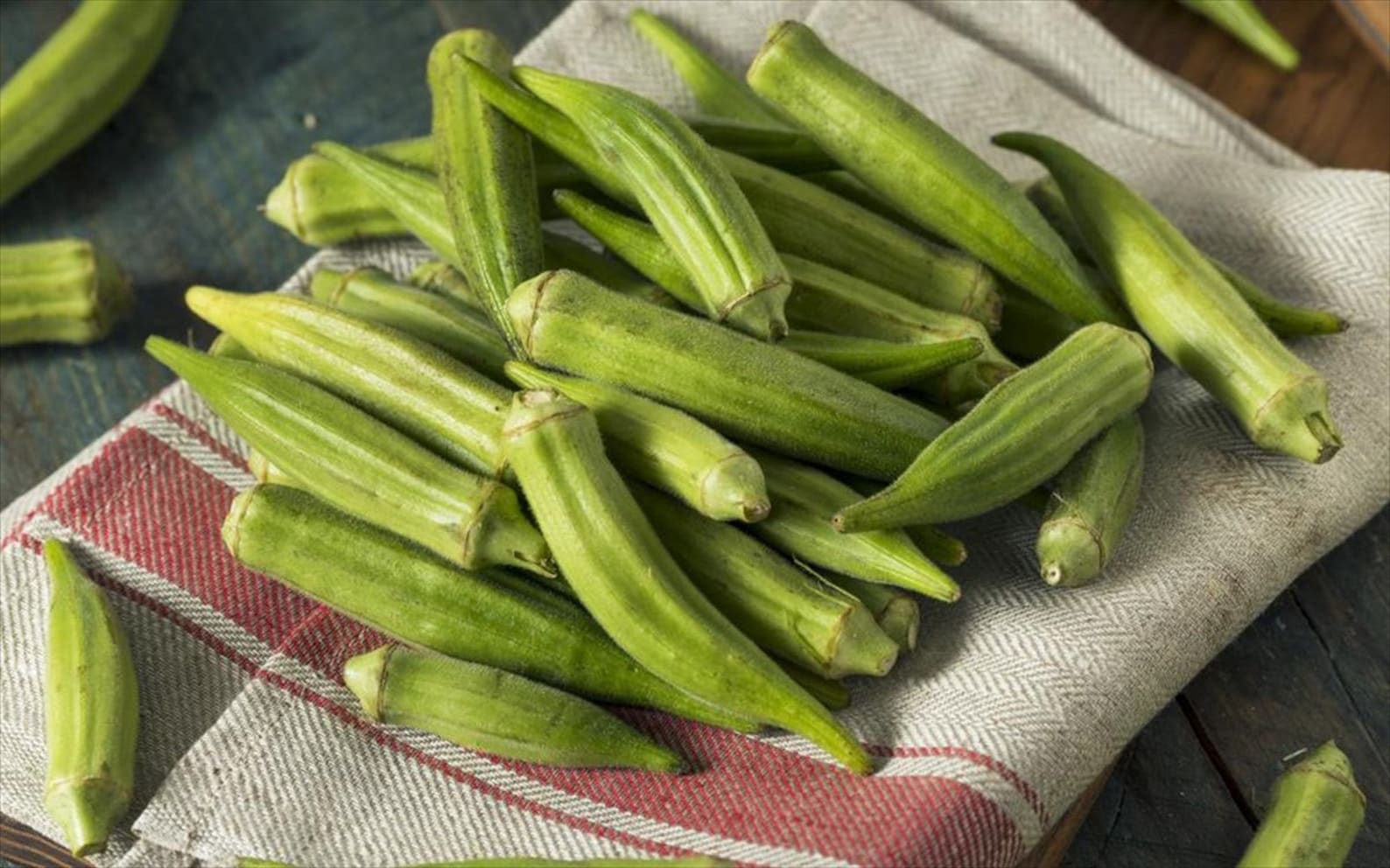 Описание бамии. Бамия размер куста. Бамия окра. Окра бамия гомбо дамские пальчики. Перец бамия.