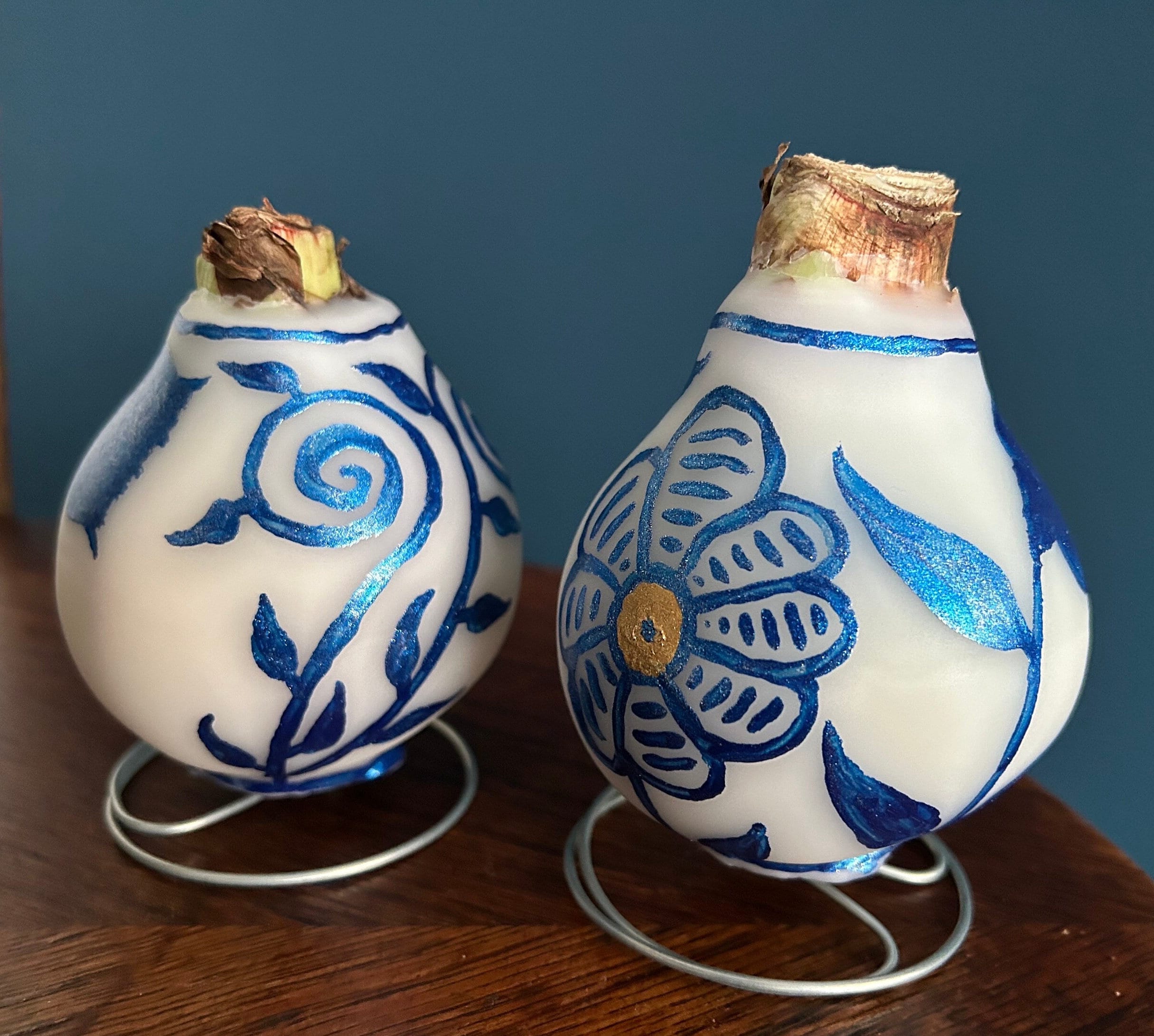 Amaryllis Wax Flower Bulb Handpainted Dutch Design, Real Amaryllis