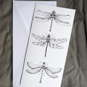 Tarjeta de felicitación, trío de libélulas, dibujo a pluma y tinta, arte de vida silvestre