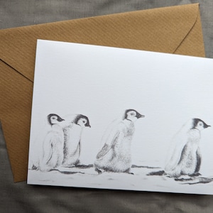 Carte de voeux, bébés pingouins, dessin au crayon, art animalier
