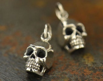 May include: Two silver skull charms with detailed features. The skulls are small and have a smooth, polished finish.