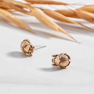 May include: A pair of gold-toned earrings featuring a detailed beetle design. The earrings are small and delicate, perfect for adding a touch of whimsy to any outfit.
