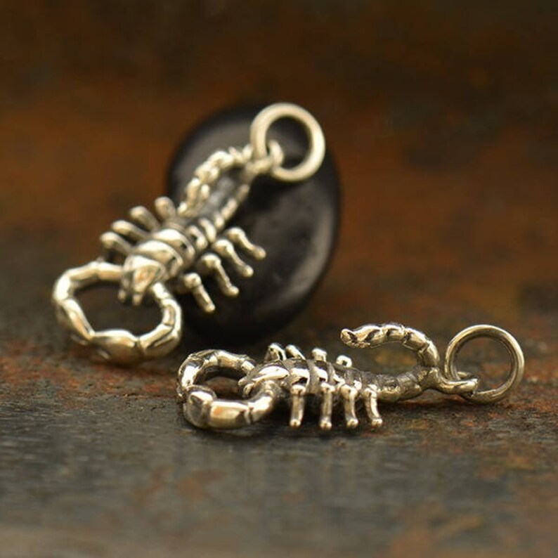 Insect Jewelry. 925 Sterling Silver Scorpion Pendant Sterling Silver Scorpion Charm Solid Sterling Silver Scorpion Necklace