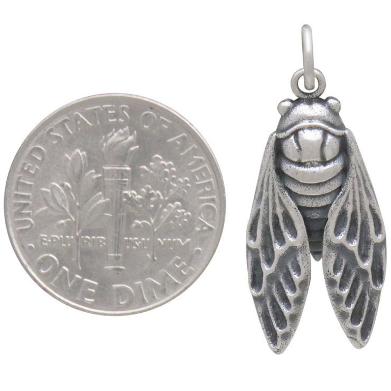 Sterling Silver Cicada Charm. 925 Solid Sterling Silver Cicada Pendant. Cicada Jewelry. image 3