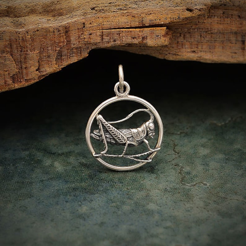Lucky Cricket Pendant 925 Sterling Silver Cricket Necklace. Sterling Silver Cricket Charm