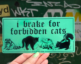 I Brake for Forbidden Cats - Bumper Sticker! laptop halloween water bottle trash panda I brake for critters dumpster trashy lowbrow e girl