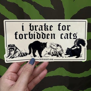 I Brake for Forbidden Cats- Bumper Sticker - in cream! halloween trash panda I brake for critters dumpster trashy lowbrow e girl