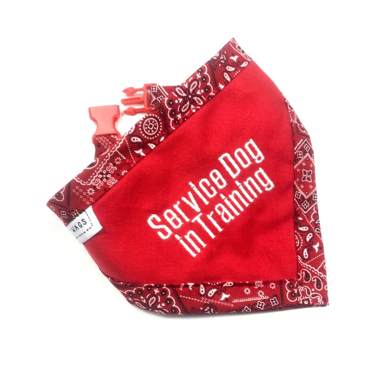 Service Dog in Training Dog Bandana Dog Alert Working Etsy