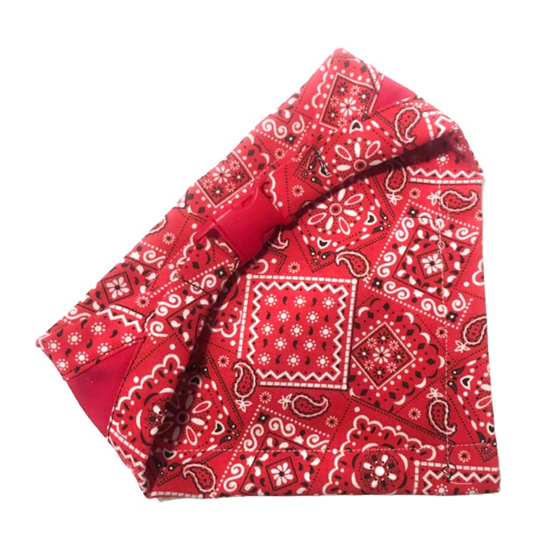 Therapy Dog in Training Bandana Therapy Dog Gear Working Dog Etsy