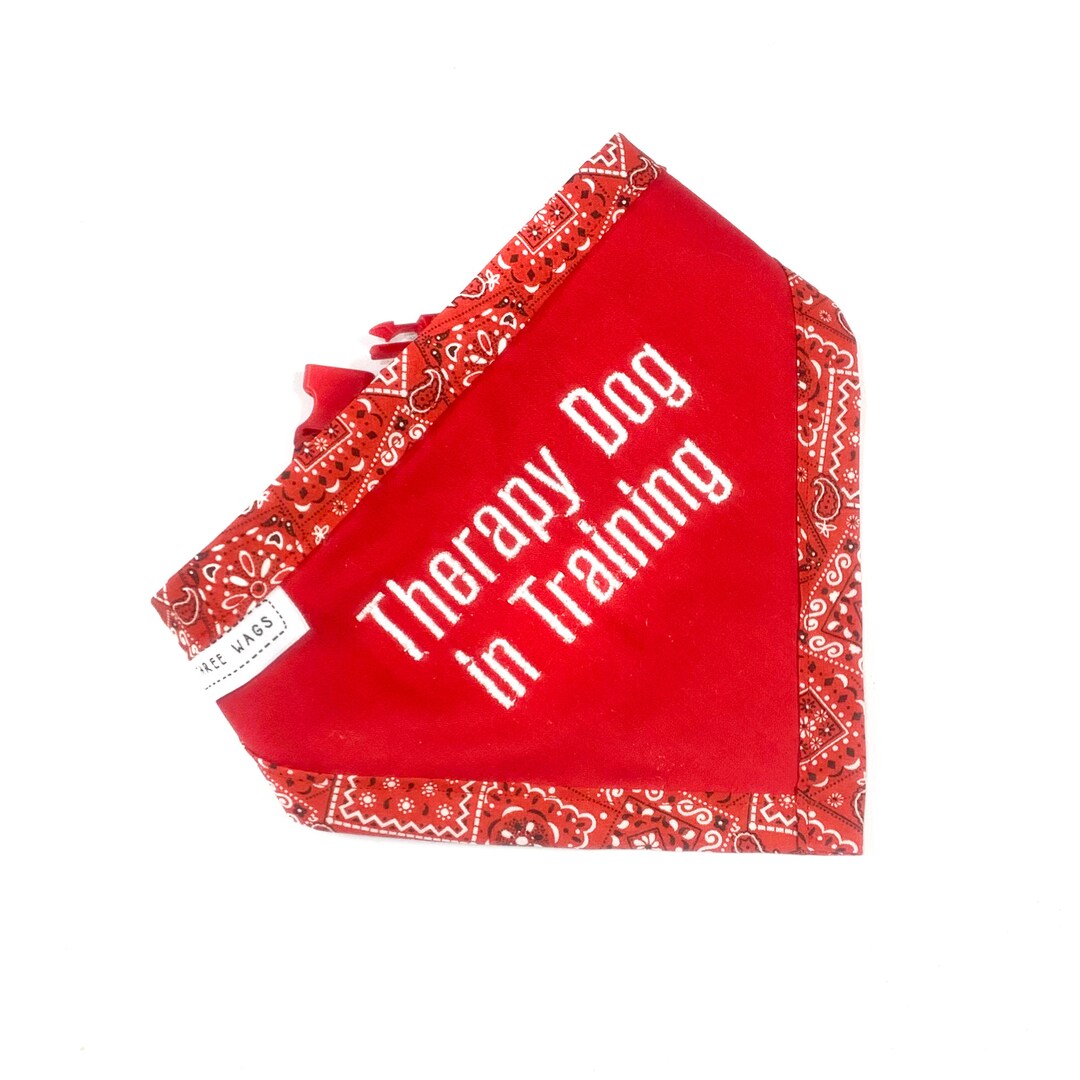 Therapy Dog in Training Bandana Therapy Dog Gear Working Dog Etsy