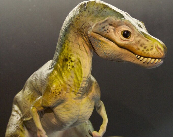 Life Size Baby Trex Jurassic World Park Etsy