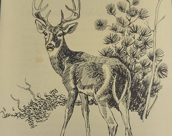 The Facts about Deer Browsing by Lester E. Bell and Charles Shick, 1914