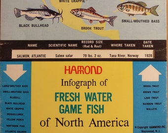 Hammond Infograph of Freshwater Game Fish/Big Game Animals of North America, 60s-70s