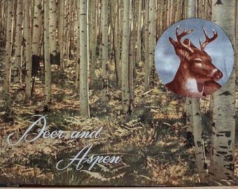 Deer and Aspen by the American Box Board Co., 1972
