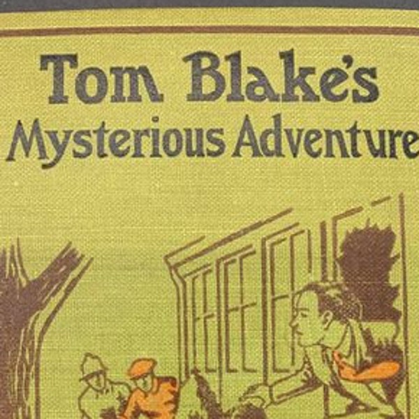 Tom Blake's Mysterious Adventure by Milton Richards, 1929