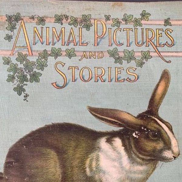 Animal Pictures and Stories, 1907