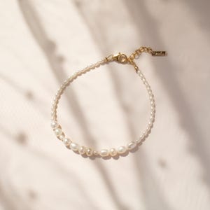 May include: A delicate gold chain bracelet with a clasp closure, adorned with a row of small white pearls of varying sizes.