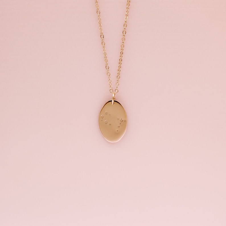 Liv Zodiac Constellation Necklace Gold, Rose Gold or Silver Oval Celestial Pendant Gift for Her Mom Friend Birthday Star Necklace image 3