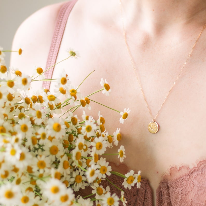 Minnesota State Necklace • 14k Gold Filled, 14k Rose Gold Filled, or Sterling Silver - Personalized - Gift for Her Home - Best Friends image 5