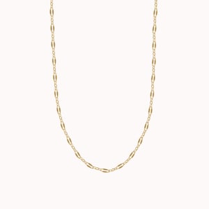 May include: A gold chain necklace with a delicate, oval-shaped link design.