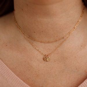 Tiny Initial Necklace Gold, Rose Gold, or Silver Letter Name Dainty Layering Charm Necklace Gift for Mom For Her Personalized Jewelry image 7
