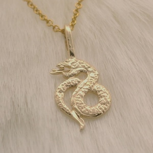May include: A gold-toned necklace featuring a pendant shaped like a coiled snake with a textured surface. The pendant hangs from a delicate gold-toned chain. The snake is depicted in a curled position with its head slightly raised and mouth open.
