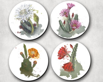 Cactus, Flowering, Blended colors, Hostess Gift, Housewarming Gift