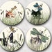 see more listings in the Coasters section