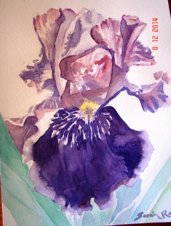 ACEO Print Bearded Iris Pale Purple Yellow Accents Flower