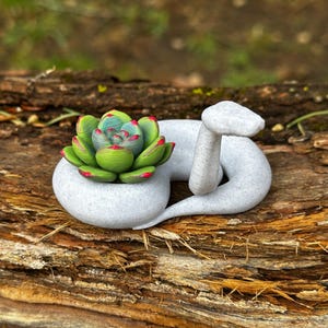 Ball python “Stone and flower” figurine variety