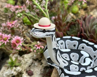 sombreros de reptil