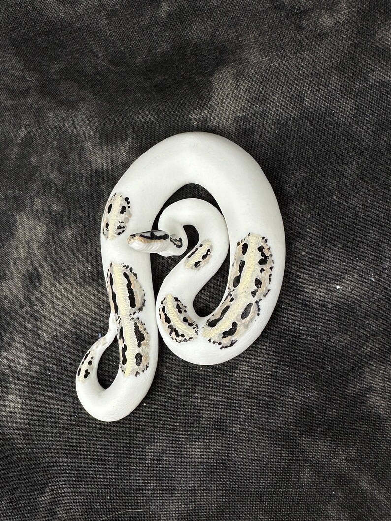 Ball python ornament (medium) Bild 3