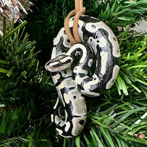 May include: A decorative ornament shaped like a snake, featuring a pattern of black and white spots and stripes. The ornament is suspended by a brown leather cord and is set against a backdrop of green Christmas tree branches.