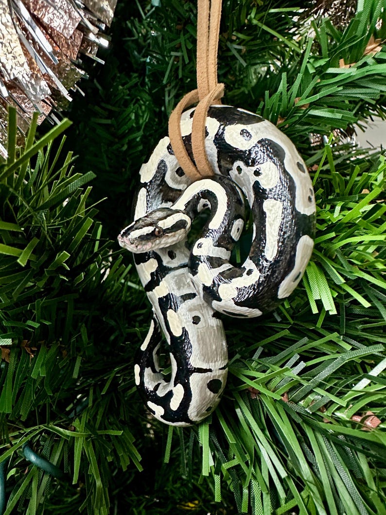 Peut inclure: Ornement d&eacute;coratif en forme de serpent, avec des motifs de taches et de rayures noires et blanches. L'ornement est suspendu par un cordon en cuir marron, sur un fond de branches vertes de sapin de No&euml;l.