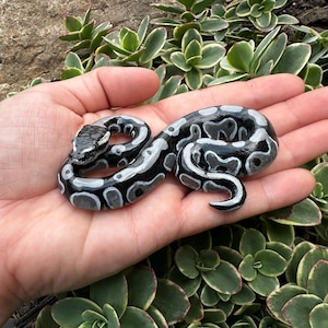 Black and white Polymer clay snake figurine