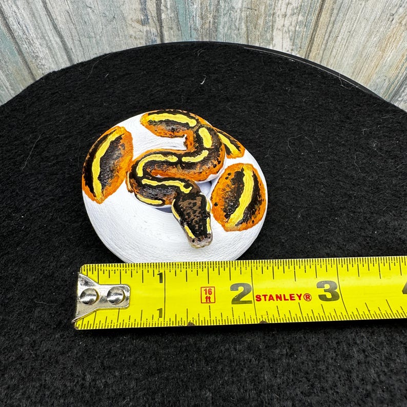 May include: A hand-painted, round, white sculpture of a snake coiled inside a broken egg. The snake is brown, yellow, and orange. A yellow measuring tape shows the sculpture is approximately 2 inches in diameter.