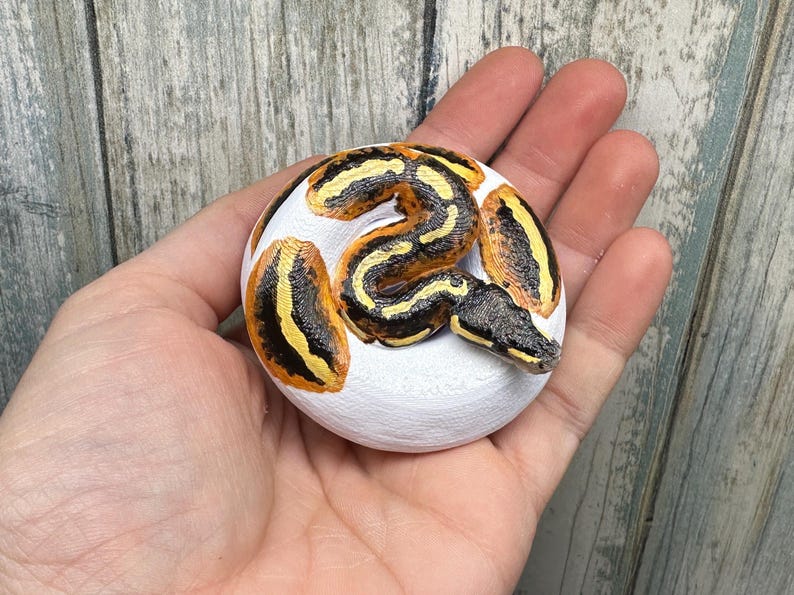 May include: A coiled snake figurine with a white base. The snake features a pattern of black and yellow stripes and spots. The figurine is held in a hand, showcasing the detailed craftsmanship and vibrant colors.