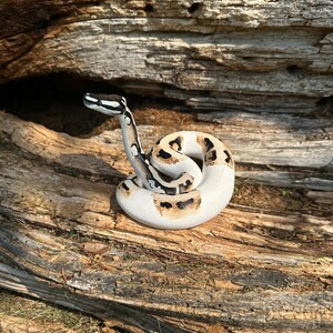 Ball python figurine (large) image 5