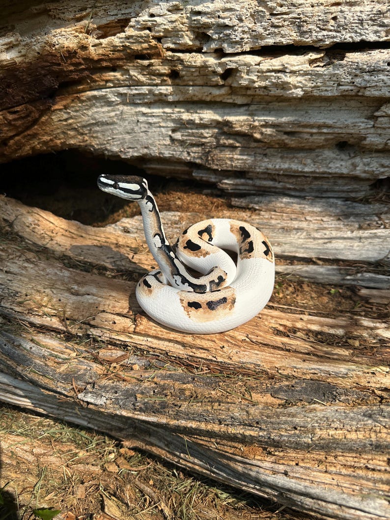 Ball python figurine (large) image 5
