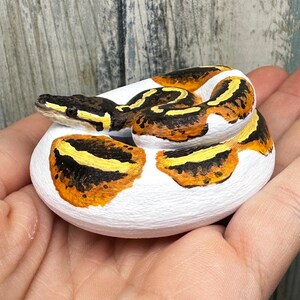 May include: A coiled, hand-painted figurine of a ball python. The snake features a white base with brown, yellow, and orange markings. The figurine is held in a person's hand, showcasing the detailed craftsmanship and vibrant colors.